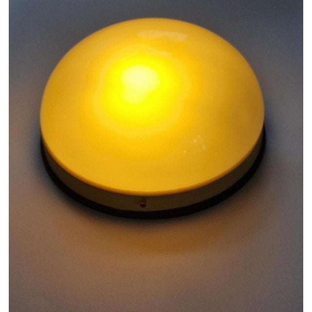 Mid-Century Ceiling Lamps, 1950s For Sale - Image 13 of 18