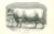 The Ox is an original lithograph on ivory-colored paper, realized by Paul Gervais (1816-1879). The artwork is from The...