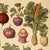 English 18' X 24' 'Vegetables' Botanical Print, Unframed For Sale - Image 3 of 5