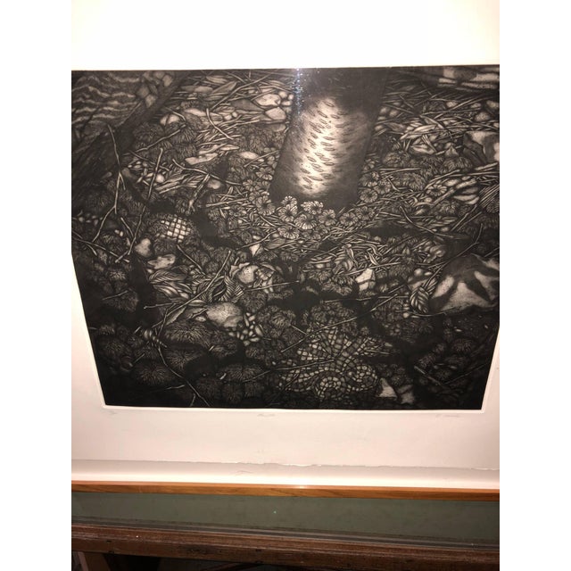 Contemporary Richard HrickoMezzotint Etching Botanical Print 'Mantle' Signed AP Jungle Image For Sale - Image 3 of 7