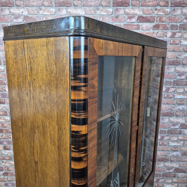 Art Deco Display Cabinet in Caucasian Walnut, Macassar Ebony and Oak, 1930s For Sale - Image 9 of 14