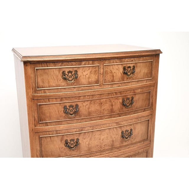 Brown Bow Front Burr Walnut Chest of Drawers, 1930s For Sale - Image 8 of 11