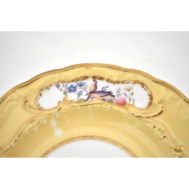 Set of 9 Hand-Painted Sevres-Style Porcelain Small Plates With Flowers & Birds For Sale - Image 9 of 13
