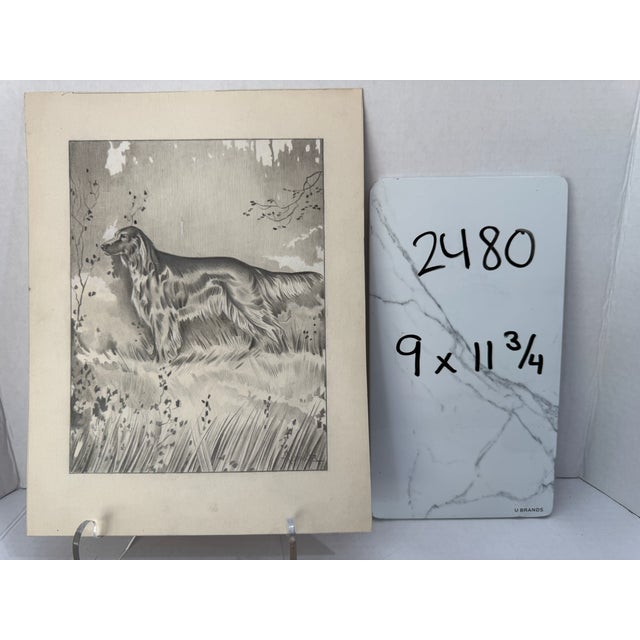1940s Original Signed Graphite Illustration of English Setter in Woodland Landscape, 11.75 × 9 In. For Sale In Atlanta - Image 6 of 6