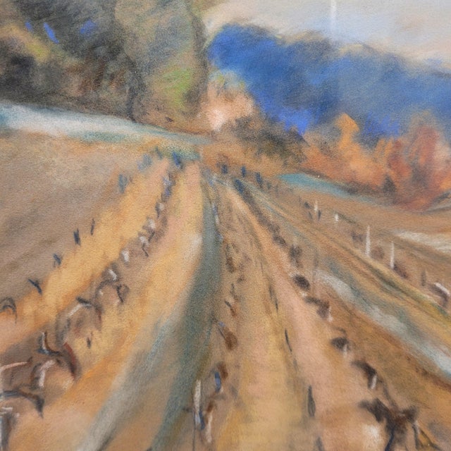 French School Artist, Vineyard in Provence, Early 20th Century, Pastel on Paper, Framed For Sale - Image 7 of 18