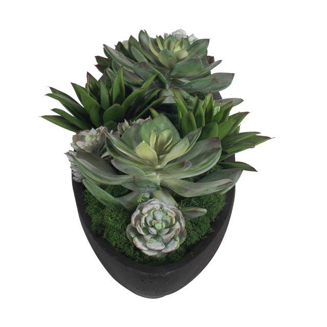 2020s Verde Succulent Centerpiece In Bowl For Sale - Image 5 of 8