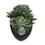 2020s Verde Succulent Centerpiece In Bowl For Sale - Image 5 of 8