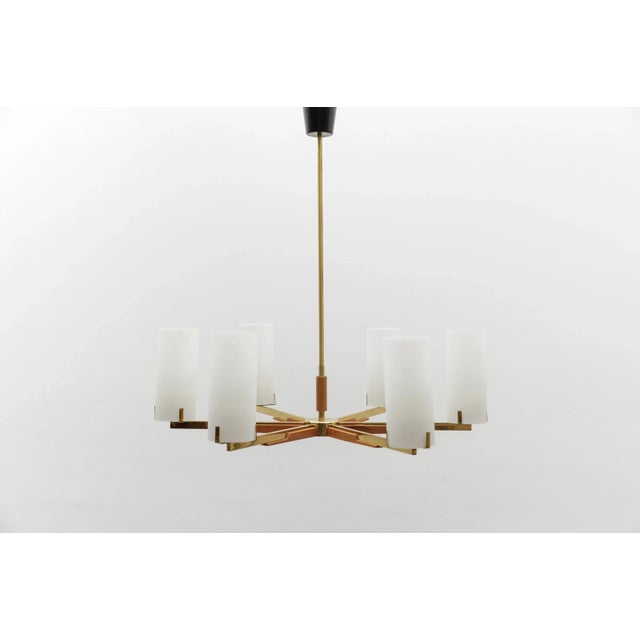 Teak, Brass and Opaline Glass Pendant Lamp from Kaiser Leuchten, 1960s For Sale - Image 17 of 17