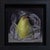 Pear Wrapped in Plastic by Kelly Birkenruth | Oil on Panel of a pear in plastic wrap For Sale - Image 4 of 5