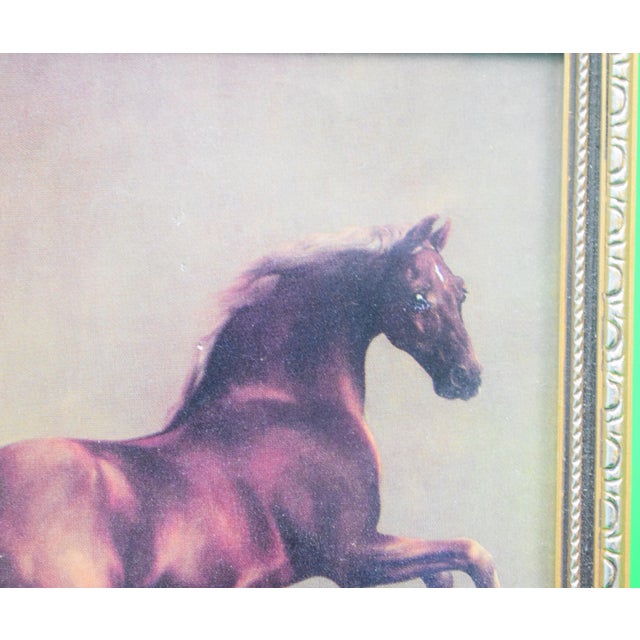 Traditional Mid 20th Century George Stubbs Whistlejacket Reproduction Print For Sale - Image 3 of 3