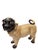 20th Century Painted Terracotta Pug Dogs, Italy, 1950s, Set of 2 For Sale - Image 11 of 18