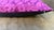 Purple Purple Cut Velvet Lumbar Cushion Cover For Sale - Image 8 of 8