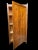 Rustic Rustic Fir Cabinet, 1890s For Sale - Image 3 of 7