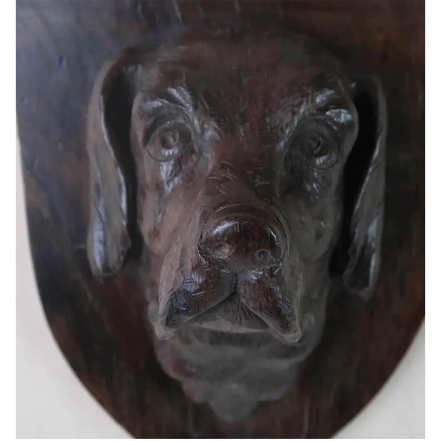 Late 19th Century Antique 19th Century English Carved Oak Dogs Head Crest, 1880 For Sale - Image 5 of 7