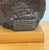 Vintage Bust of a Man Signed & Dated 1961 For Sale - Image 9 of 9