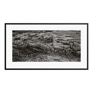 Unforgiven by Stuart Möller Framed For Sale