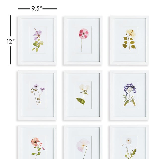 These petite pressed mountain flower prints are a versatile set. Finished with a simpleWhite frame, they work beautifully...