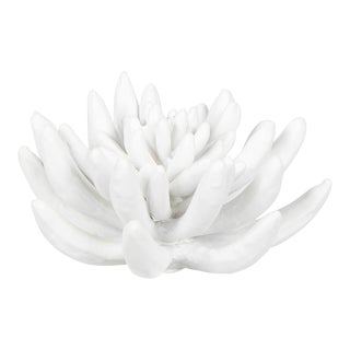 Regina Andrew Succulent Resin Sculpture 2 For Sale