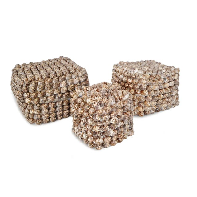 Vintage Coastal Bali Shell Box Small For Sale - Image 4 of 7