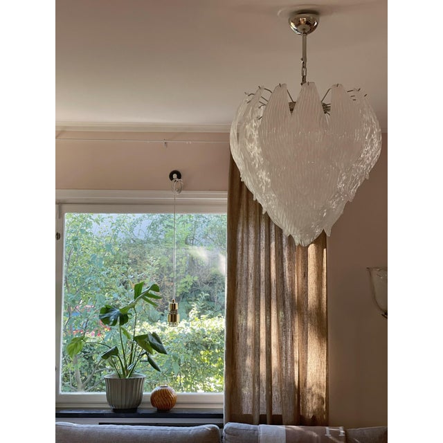 Tulip Murano Chandelier For Sale - Image 6 of 16
