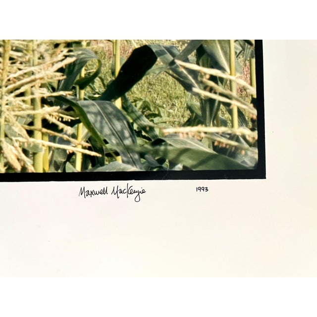 Maxwell Mackenzie, Farm, Summer Landscape, Large Panoramic Vintage Color Photograph Signed Photo, 1993 For Sale In Miami - Image 6 of 9