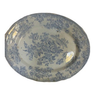 19th Century Asiatic Pheasant Platter For Sale