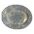 19th Century Asiatic Pheasant Platter For Sale