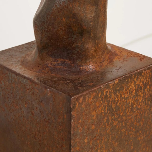 Patinated Metal Tendril Sculpture For Sale - Image 9 of 10