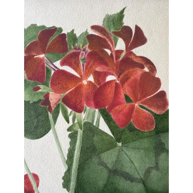 A.L., Two Stems with Red Flowers, 1819, Watercolor For Sale - Image 9 of 11