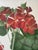 A.L., Two Stems with Red Flowers, 1819, Watercolor For Sale - Image 9 of 11