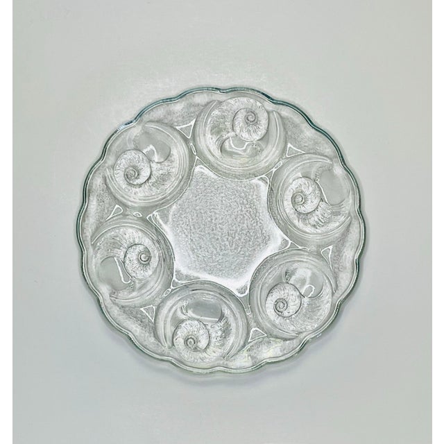 Vintage Spiral Shell Plates- Set of 4 For Sale In Jacksonville, FL - Image 6 of 8
