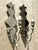Silver Vintage Mirrored Glass Sconces - Pair For Sale - Image 8 of 12