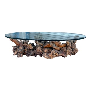 1960s Vintage Glass Burlwood Coffee Table For Sale
