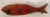 Vintage Rustic Folk Art Wood Fish Coat, Hat Rack For Sale In San Antonio - Image 6 of 12