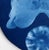 Abstract Naturalistic Cyanotype on Hahnemuhle Sumi-E Paper, "Emptiness Is Form 1" For Sale - Image 3 of 3
