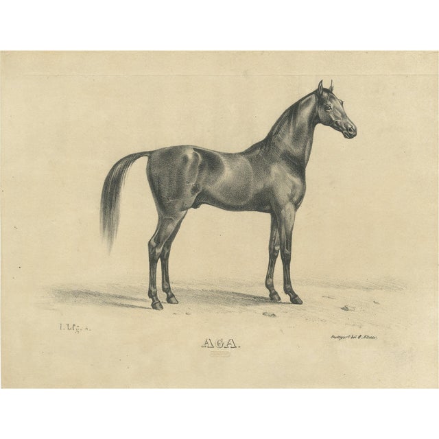 August Jäger, Aga, 1846, Paper Lithograph For Sale