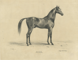 August Jäger, Aga, 1846, Paper Lithograph