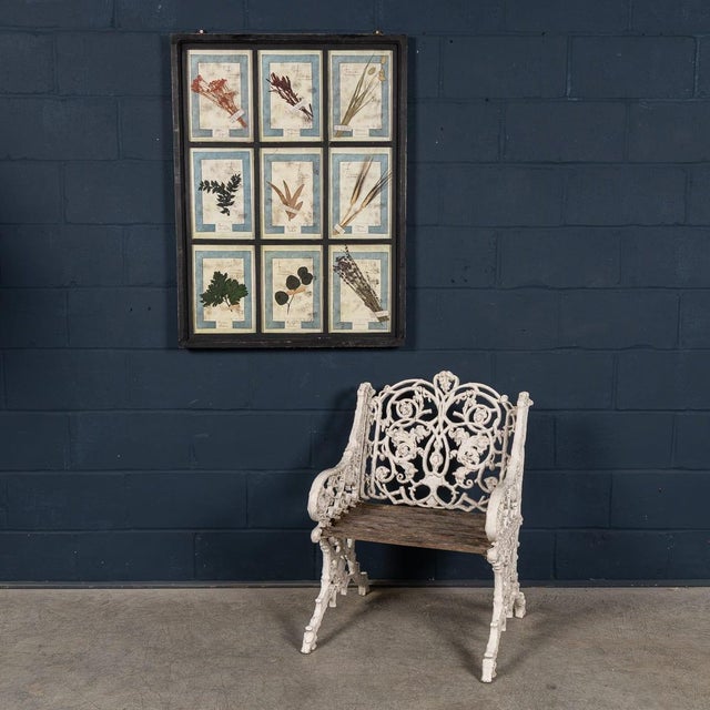 20th Century Italian Large Oak Frame with Pressed Flowers and Herbs, 1950s For Sale - Image 3 of 15
