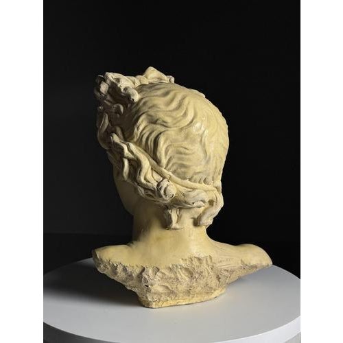 Apollo Bust in Concrete For Sale - Image 6 of 12
