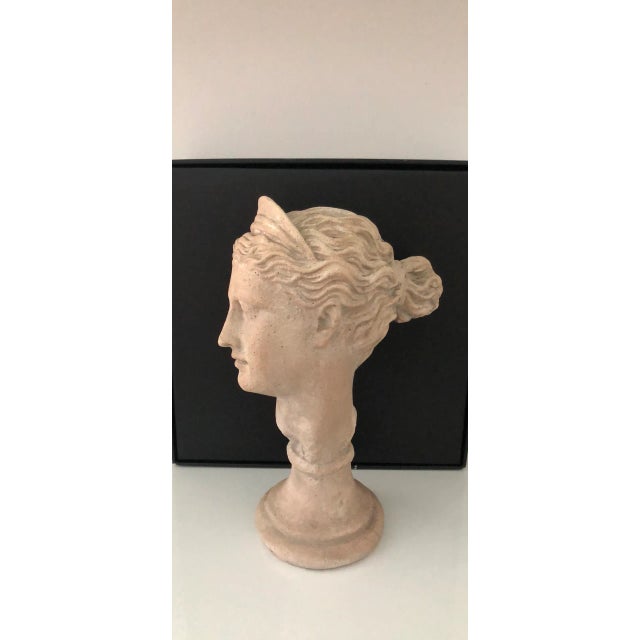 Late 20th Century Grecian Diana Bust For Sale - Image 12 of 12
