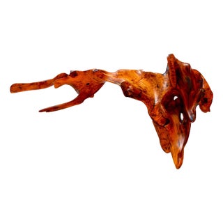 S1090 Decorative Object in Mastix Bush Root Wood by Jörg Pietschmann For Sale