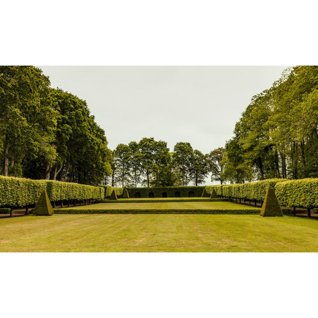 Not Yet Made - Made To Order Guy Sargent, The Garden, Photograph For Sale - Image 5 of 5