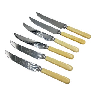 Vintage Philip Ashberry & Sons Sheffield England Celluloid Dinner Knife Set - 6pc For Sale