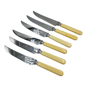 Vintage Philip Ashberry & Sons Sheffield England Celluloid Dinner Knife Set - 6pc