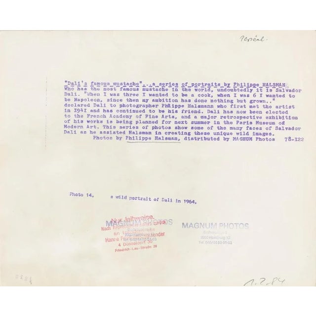 Philippe Halsman Dali in Port Ligat, 1964 This piece is attributed to the mentioned designer/maker. It has no attribution...