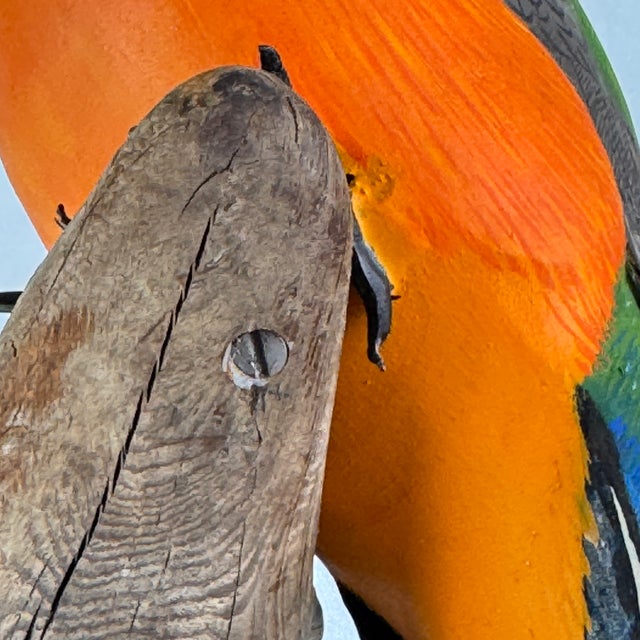 Blue Late 20th Century Original Harry Ross Hand Carved Bird With Glass Eyes on Driftwood, Signed For Sale - Image 8 of 12
