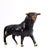 A broad, lowered head and curved golden horns give this mid-century bronze bull an assertive physical stance. Cast in...