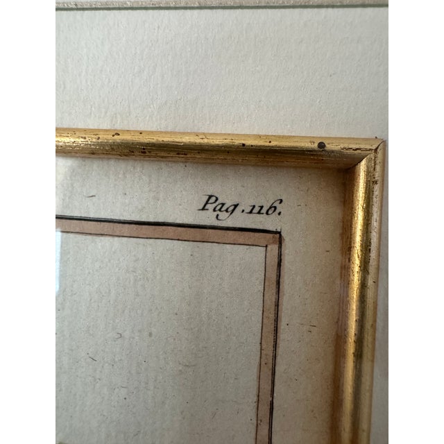 18th Century French Hand-Colored Botanical Fruit Engravings – Almond & Plum – Framed Pai For Sale - Image 9 of 9