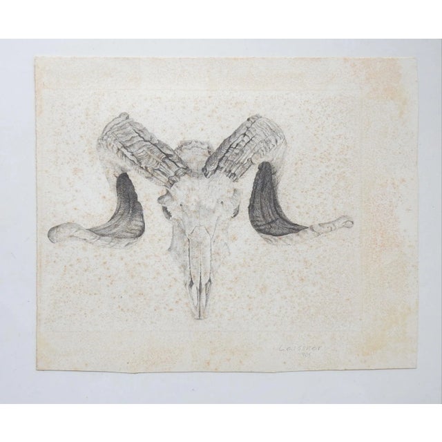 Rustic Vintage Ram Skull Drawing For Sale - Image 3 of 4
