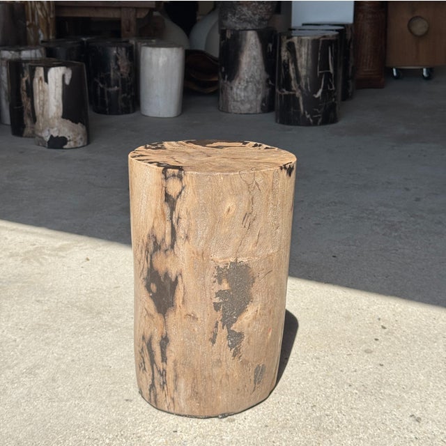 Stone Side Table in Brown and Black Petrified Wood, 1980s For Sale - Image 7 of 18